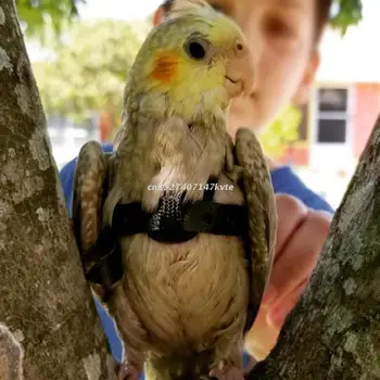Anti-bite Latająca Grupa Pet Ptak Papuga Wiązka Smycz Szkolenia Lina Pasek R9CA