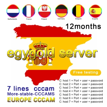 Europa Hiszpania 2021 Stajnia dla odbiornika Wsparcie DVB-S2 dla GTmedia V8 Nova V7S v8x V9 Freesat Oscam Server test 48h